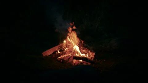 Bonfire Burning Bright in a Dark Forest at Evening Stock Footage 297870677