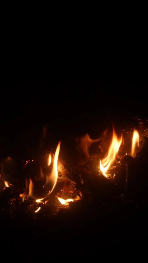 A bonfire burning brightly in the dark of night Stock Footage 332866716