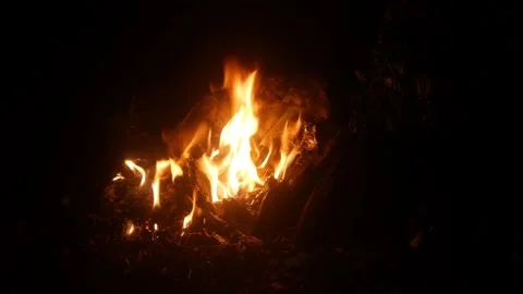 A bonfire burning brightly in the dark of night Stock Footage 332866732