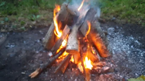 Bonfire burning. Coals in the fire. Burning. Stock Footage 115030011