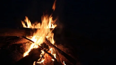 Bonfire burning on a dark background at night Stock Footage 82651330