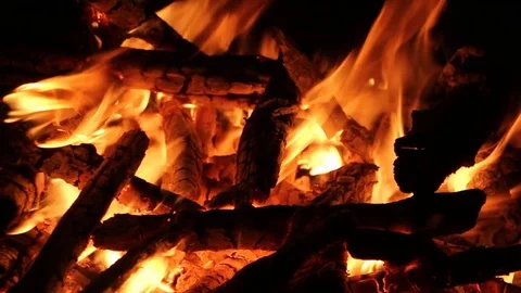 Bonfire burning on a dark background at night Stock Footage 82651365