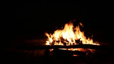 Bonfire burning on a dark background at night Stock Footage 82651384