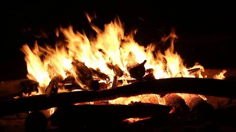 Bonfire burning on a dark background at night Stock Footage 82651402