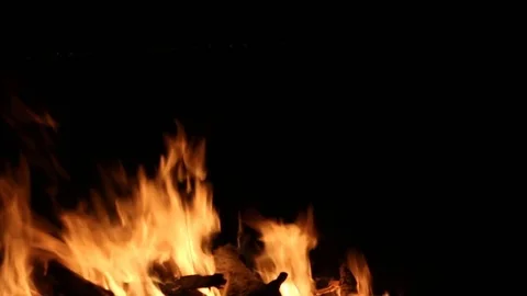 Bonfire burning on a dark background at night Stock Footage 82651409