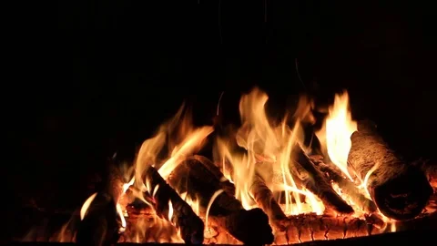 Bonfire burning on a dark background at night Stock Footage 82651433