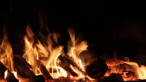 Bonfire burning on a dark background at night Stock Footage 82651443