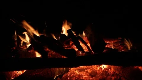 Bonfire burning on a dark background at night Stock Footage 82651453