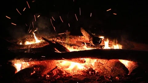Bonfire burning on a dark background at night Stock Footage 82651462