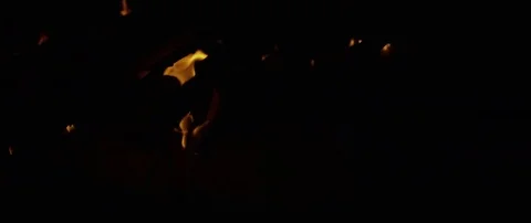 Bonfire burning in the darkness of night Stock Footage 80998770