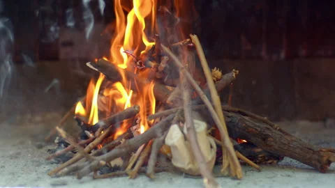 Bonfire burning fire and flames, light through smoke Vídeos de archivo 328738594