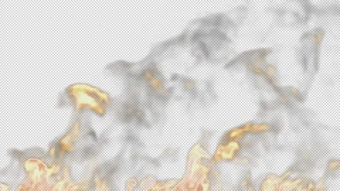 Bonfire burning, fire with particles of fiery coals. Stock Footage 167921293