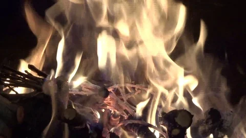 Bonfire. Burning firewood, Flames. Fire Video stock 123364101