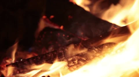 Bonfire. Burning firewood. Night Stock Footage 64319502