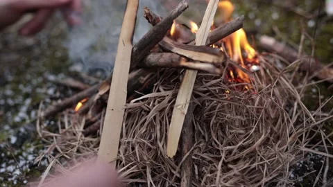 Bonfire burning Stock Footage 148326171