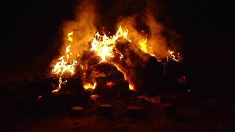 Bonfire Burning Stock Footage 282897706