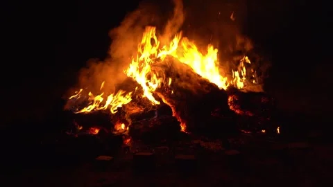 Bonfire Burning Stock Footage 282899491