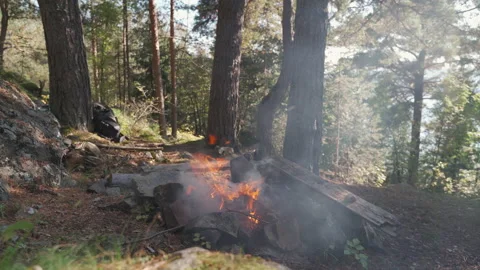 A bonfire is burning in a forest camp Stockbeeldmateriaal 160437496