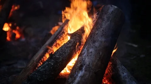 Bonfire burning in the forest Stock Footage