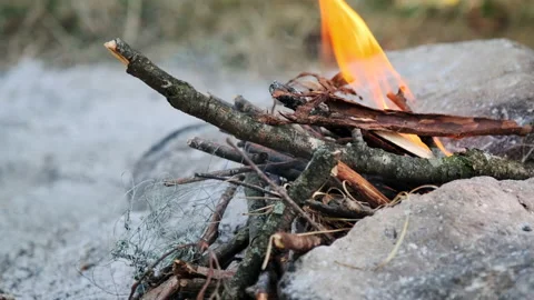 A bonfire is burning in the forest. Stock Footage 148337195