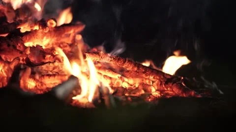 Bonfire burning in the forest at night Video stock 259794034