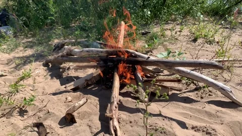 A Bonfire Burning in the Forest at Summer Day. Flaming Campfire. Fireplace in Na Stock Footage 157960816