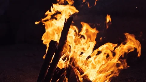 Bonfire. Burning logs in orange flames. Beautiful fire burns brightly.  Video stock 119688411