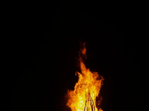 Bonfire burning at night Stock Footage 80998244