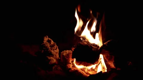 Bonfire Burning at Night Stock Footage 293265441