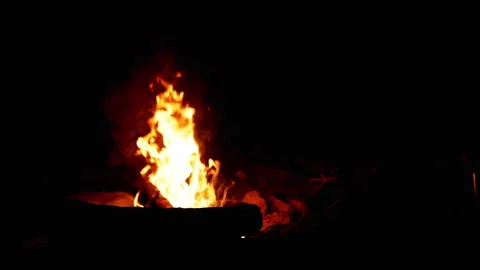 Bonfire Burning at Night Stock Footage 293278283