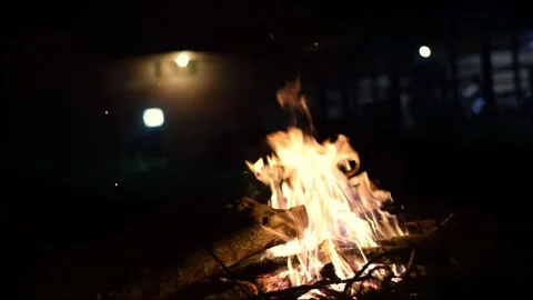 Bonfire burning at night with glowing flames and firewood Видео 341453097