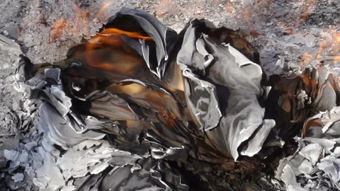 Bonfire with burning paper in slow motion Video stock 159658600