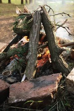 Bonfire burning with pine branches in brick fire pit for forest protection Stock Photos