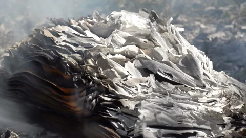 Bonfire with burning sheets of paper Stock Footage 159538327