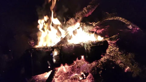 Bonfire burning in the summer in the nature Stock Footage 132414524