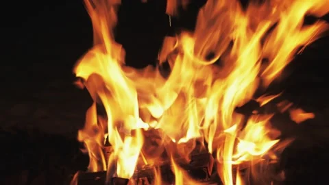 Bonfire burning trees close up at night. Fire in camping. Orange flames on black Stock Footage 146440954