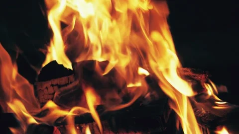 Bonfire burning trees close up at night. Beautiful abstract fire rise background Video stock 146442180