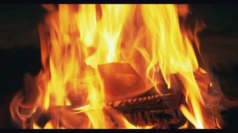 Bonfire burning trees close up at night burning firewood. Orange flames on black Stock Footage 146443274