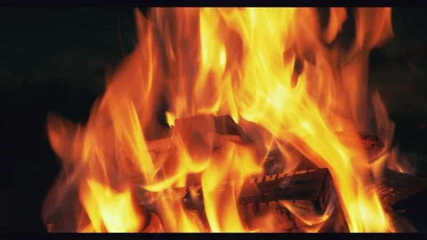 Bonfire burning trees flame and smoke closeup at night. Orange fire on black. 4k Video stock 146443395