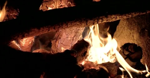 Bonfire Burning Trees at Night. Bonfire Burning Brightly, Heat, Light,camping, Stock Footage 67404608