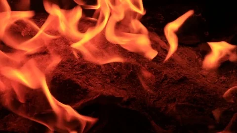 Bonfire burning trees at night. Bonfire burning brightly, heat, light,camping Stock Footage 83372249