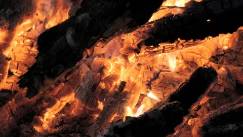 Bonfire burning trees at night. Bonfire burning brightly, heat, light, camping Stock Footage 114272938