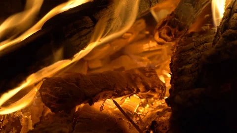 Bonfire burning trees at night. Bonfire burning brightly, heat, light,camping Stock Footage 118329978