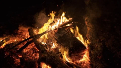 Bonfire burning trees at night. Bonfire burning brightly, heat, light, camping Stock Footage 123297702