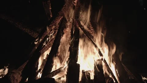 Bonfire burning trees at night. Bonfire burning brightly, heat, light, camping Video stock 131117178