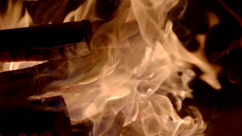 Bonfire burning trees at night. Bonfire burning brightly, heat, light, camping Video stock 146619629