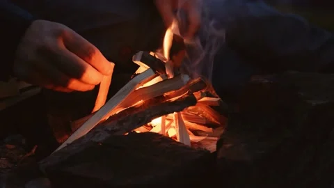 Bonfire burning trees at night. Bonfire burning brightly, heat, light Видео 149514259