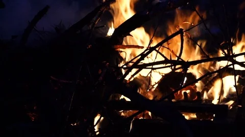 Bonfire burning trees at night. Burning foliage and the tree branches Stock Footage 79886091