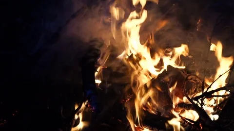Bonfire burning trees at night. Stock Footage 79884994