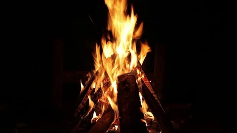 Bonfire burning trees at night 库存影片 84756672